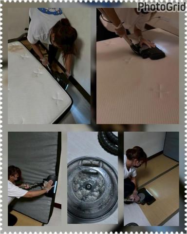 打擊蟎蟎安心清潔行丨床墊沙發除蟎專家｜到府服務｜寵物尿漬、小 - 