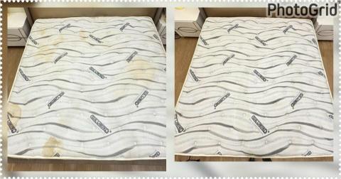 打擊蟎蟎安心清潔行丨床墊沙發除蟎專家｜到府服務｜寵物尿漬、小 - 