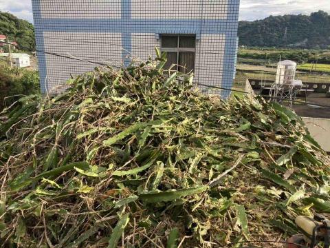 小巴個人工作室 - 