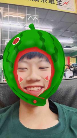 林晉宇 - 西瓜的濾鏡