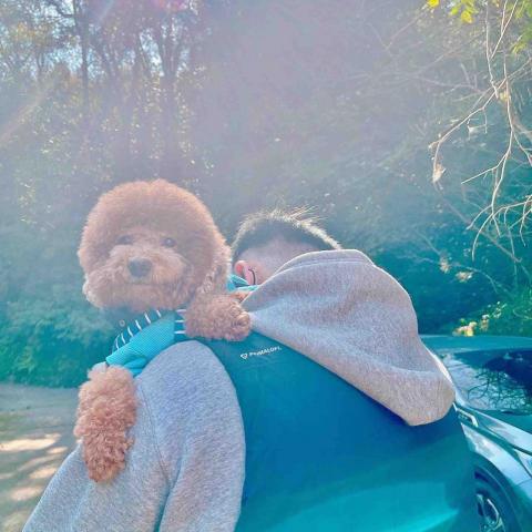 提供籃球網服務的專家何易軒