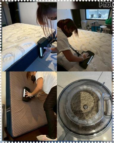 打擊蟎蟎安心清潔行丨床墊沙發除蟎專家｜到府服務｜寵物尿漬、小 - 