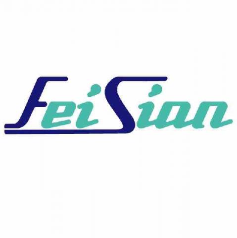 飛暹科技 飛暹科技