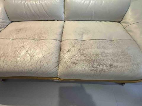 婕紘企業社 -  婕紘企業社 -