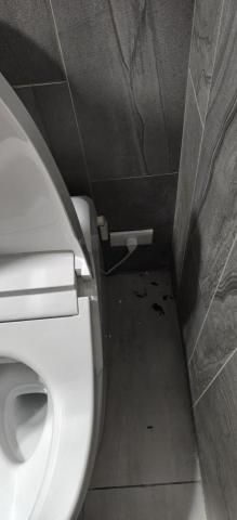 阿平 - 增設分路