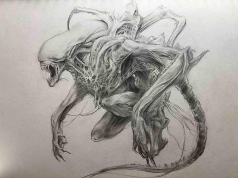 陳永晴 - 素描作品