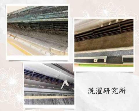 洗濯研究所 - 