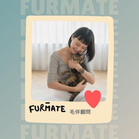 提供毛孩服務的專家Furmate.co毛伴顧問