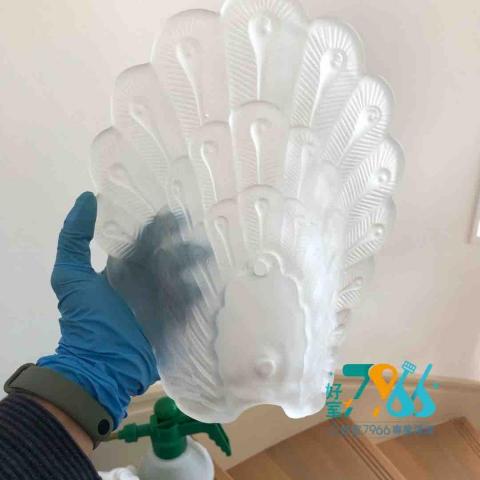 好室 7966 專業清潔 -  好室 7966 專業清潔 -