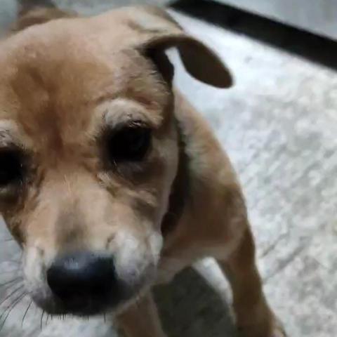 提供托運服務的專家胡捷申