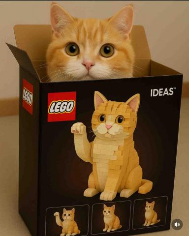 提供ai翻譯服務的專家Kelvin