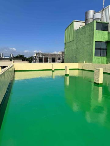 百彩專業油漆防水工程 - Pu防水