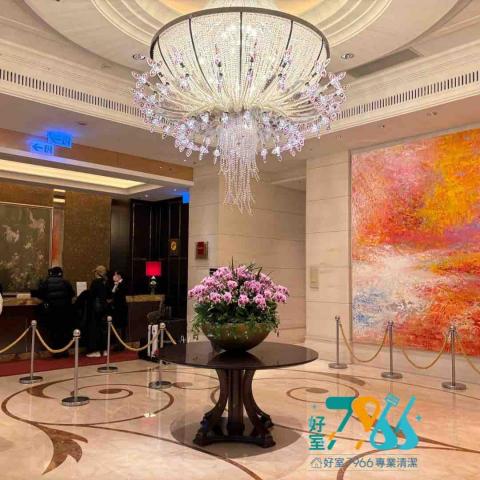 好室 7966 專業清潔 -  好室 7966 專業清潔 -