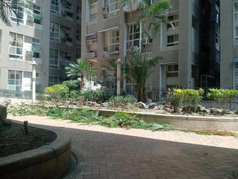 王東明 - 社區中庭整理中