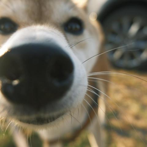 提供dmc毛線服務的專家江