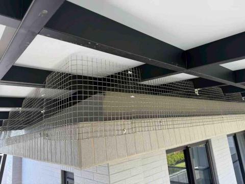 家居神隊友-陳宥任技師 - 防鴿