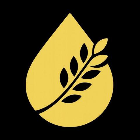 提供中壢記帳士服務的專家沁禾稅務記帳士事務所