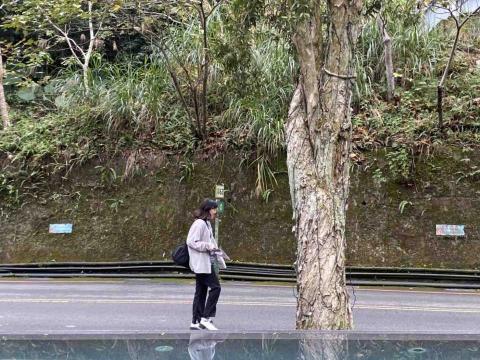 水電/系統櫃/輕裝修/鐵工/泥作 水電/系統櫃/輕裝修/鐵工/泥作