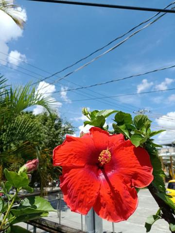 李孟津Ging Lee - 進步自己是最好的教學