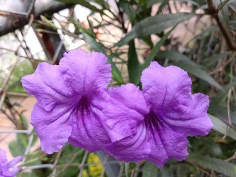 李孟津Ging Lee - 每個學生都是獨一無二的。