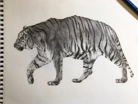 曾品涓 - 鉛筆素描