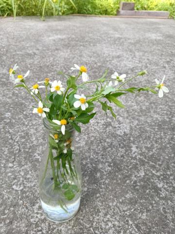 李孟津Ging Lee - 教學關係是一種合作關係