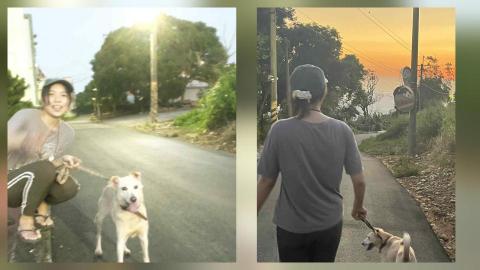 Wenny Chen - 寵物散步