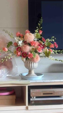 植感物語 -  植感物語 -