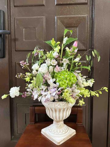 植感物語 -  植感物語 -