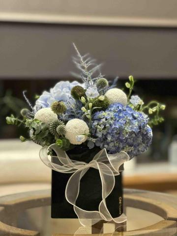 植感物語 -  植感物語 -