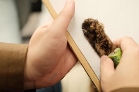 洪德程（Steven） - 