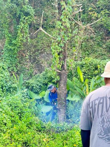 森光莊園Forest Light Gardening - 