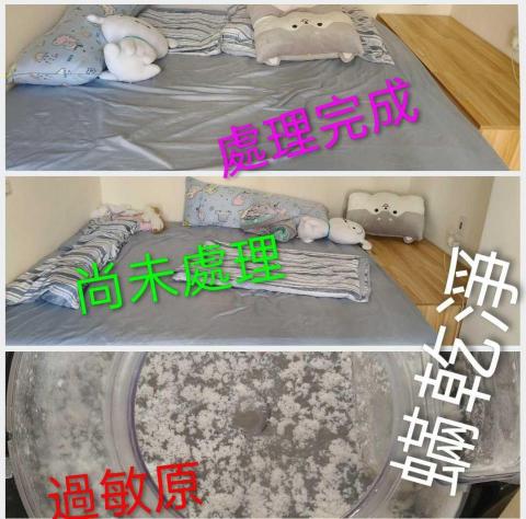蟎乾淨-國際過敏認證有效移除過敏源 - 