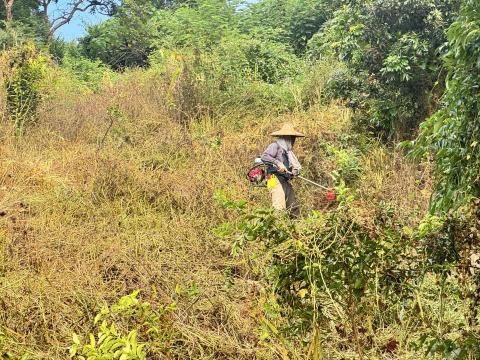 森光莊園Forest Light Gardening - 
