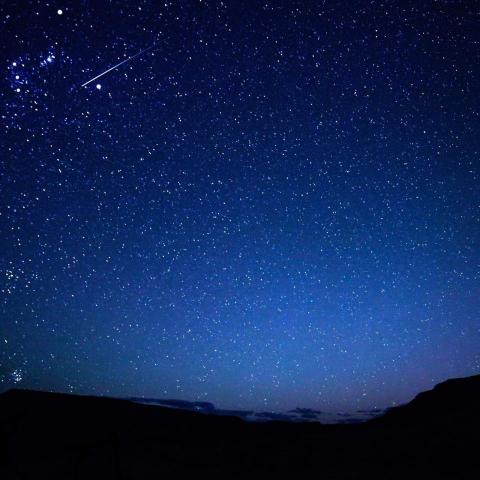 台中西區大提琴陪練老師推薦陳湘榆