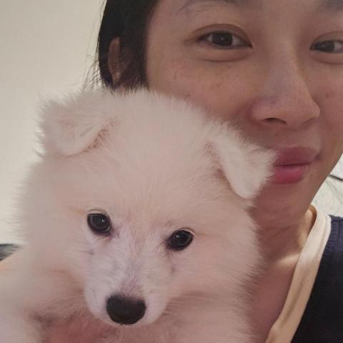 台中寵物接送司機推薦🐶 Moony 毛孩散步服務