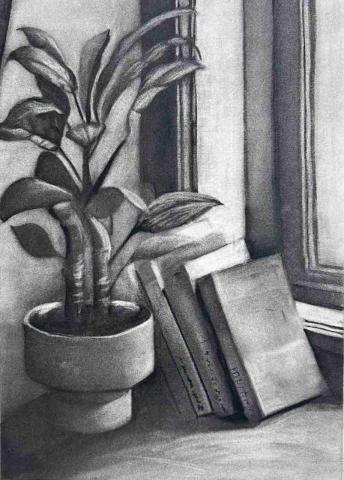 彩果子繪畫 - 炭筆素描｜學生練習