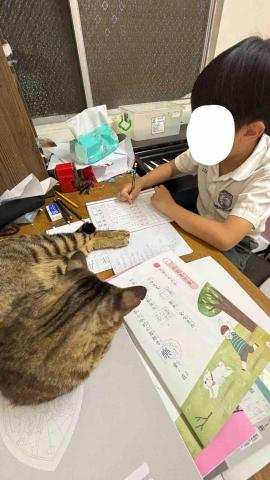 鍾欣妤 - 小二伴讀