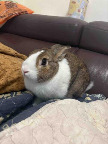 沒有人比我愛動物😍 - 