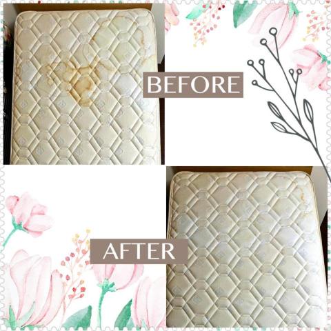 打擊蟎蟎安心清潔行丨床墊沙發除蟎專家｜到府服務｜寵物尿漬、小 - 