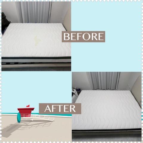 打擊蟎蟎安心清潔行丨床墊沙發除蟎專家｜到府服務｜寵物尿漬、小 - 