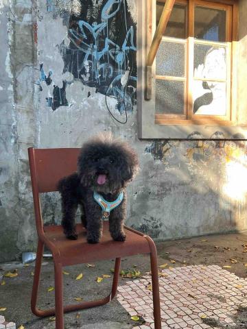 潘沛臻 - 我的小朋友！（12歲）