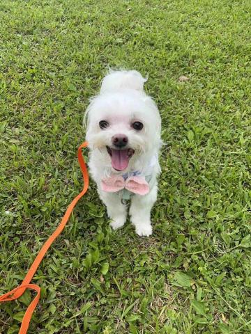 潘沛臻 - 我的小朋友！（7歲）