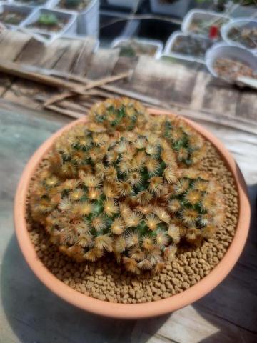 提供隔音窗廉服務的專家董峻廉