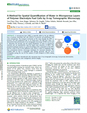 陳彥君老師 Yen-Chun Chen - 知名國際期刊文章發表 (我是第一作者)。類似國際期刊發表共有七篇。