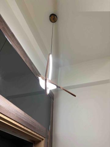 Angus liu - 吊燈安裝