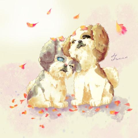 Kiwi - 日系似顏繪