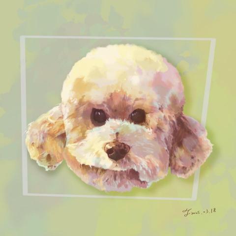 Kiwi - 寫實風格似顏繪