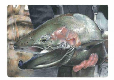 呂岷熙 - 麥克筆示範 需要更多請私訊