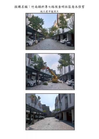 吉爾登工程有限公司 - 喬木修剪